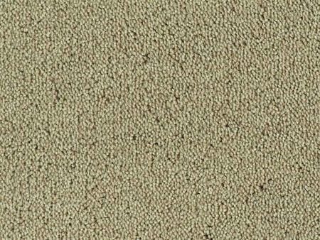Tapijt Colour King | Greige