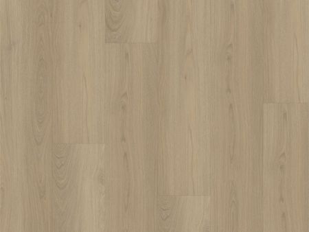 PVC Elenor EIR | Smoky